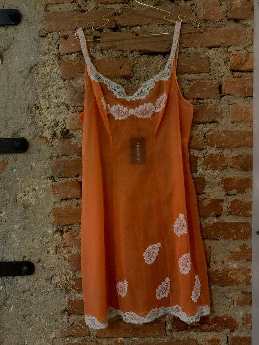 COLLECTORS NUISETTE LACE DRESS