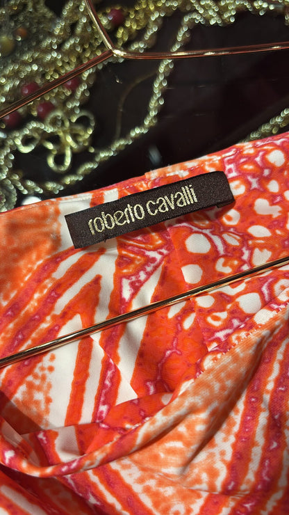 ROBERTO CAVALLI VINTAGE PRINT DRESS