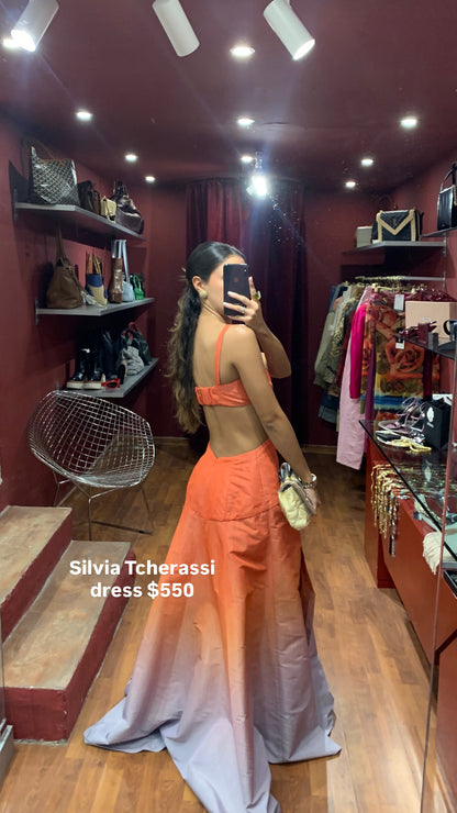 SILVIA TCHERASSI LONG CUT-OUT ELEGANT DRESS