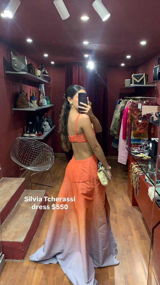 SILVIA TCHERASSI LONG CUT-OUT ELEGANT DRESS