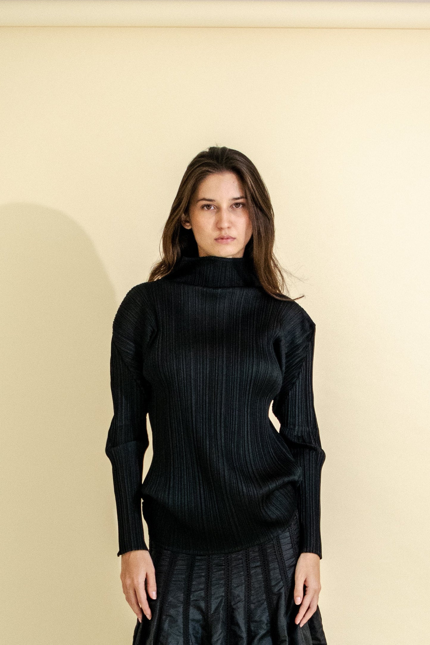 ISSEY MIYAKE PLEATED HIGH NECK & LONG SLEEVED TOP