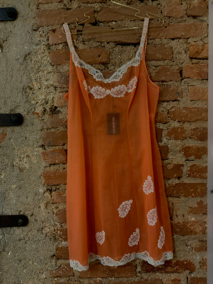 COLLECTORS NUISETTE LACE DRESS